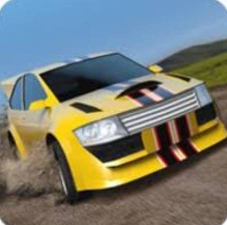 Rally Fury Mod APK